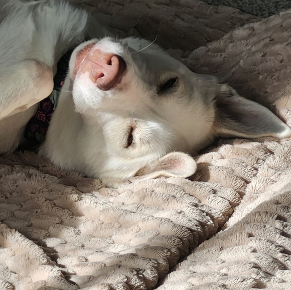 Meet your Posher, Rick - Picture 5 of 8